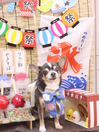 20240713メルくん